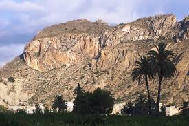 media/202210/med449697271.jpg